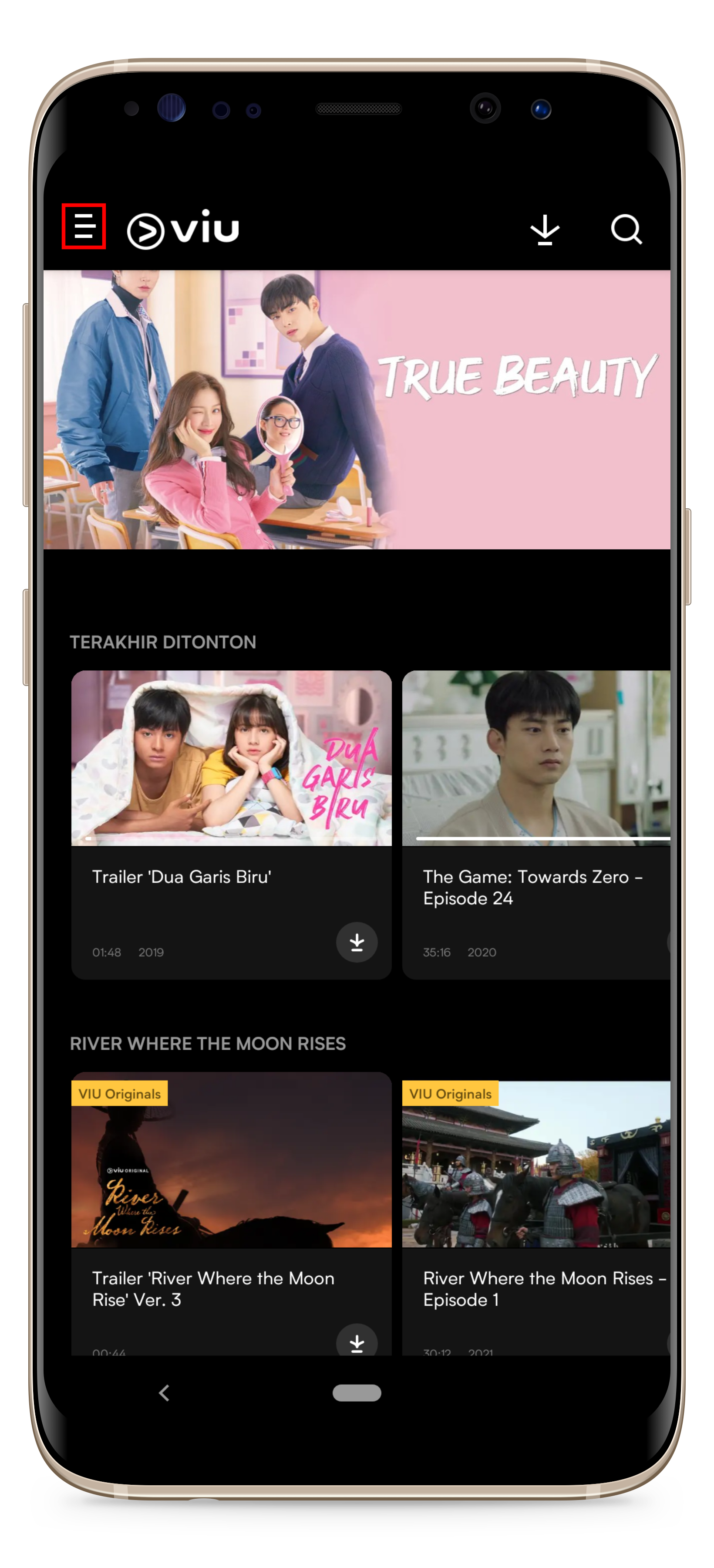 VIU_1.png