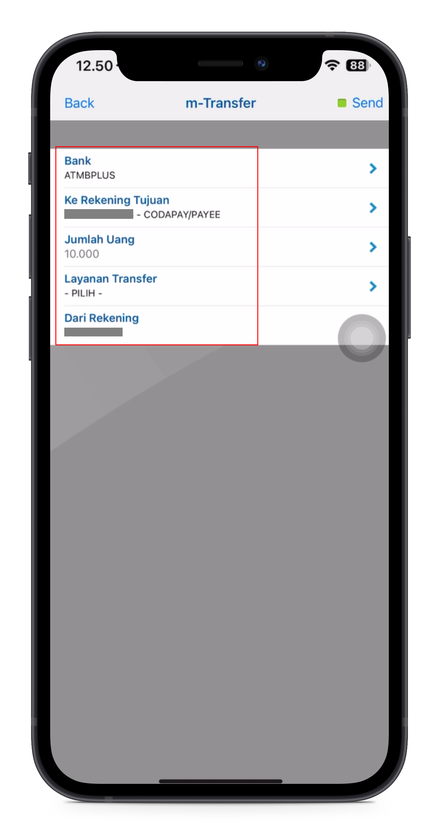 bcamobile-input_details.png